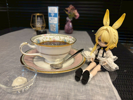 初めてのドールお迎えとプチ旅行の話