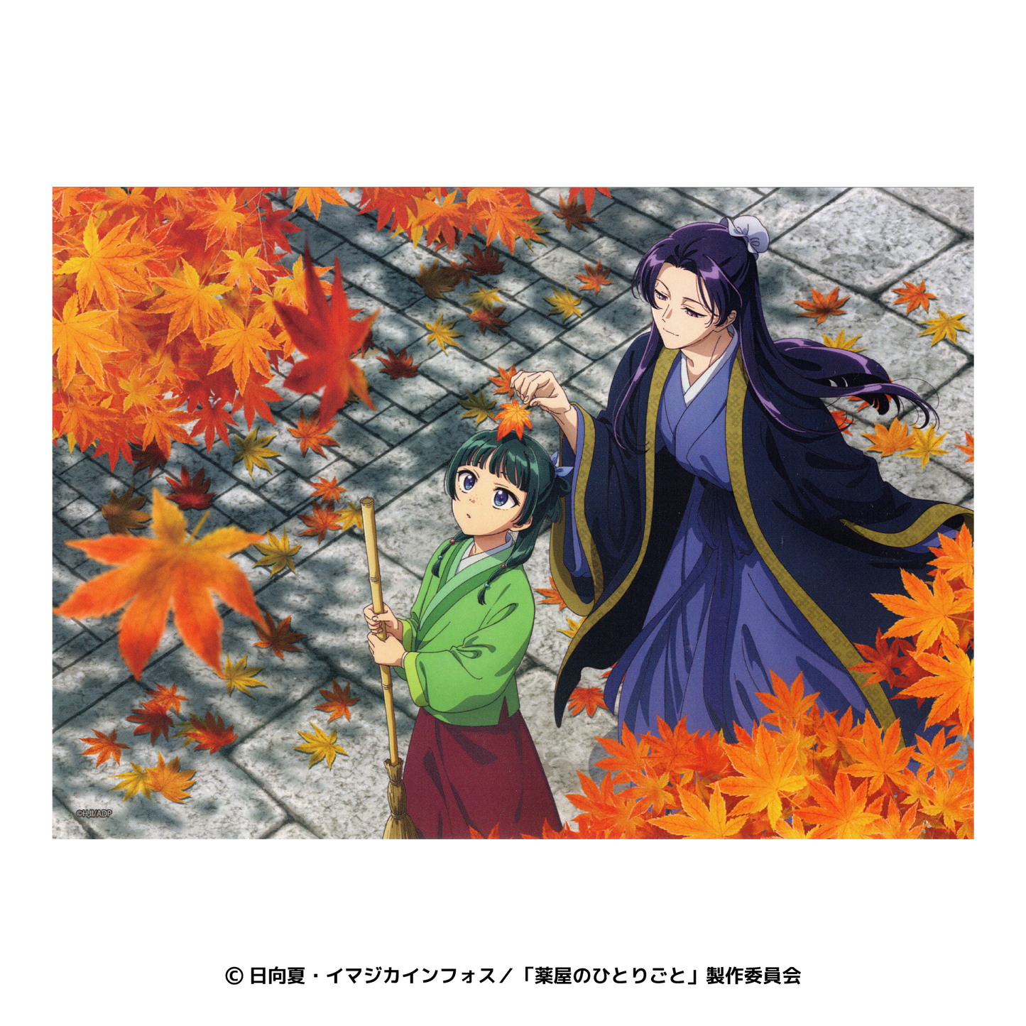 薬屋のひとりごと らくピタポスター 紅葉・水仙