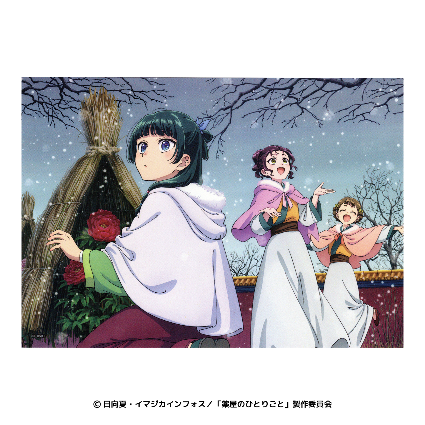 薬屋のひとりごと らくピタポスター 寒牡丹・梅